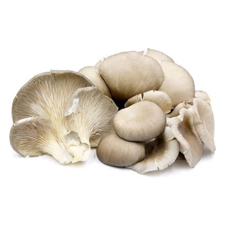 Mushrooms (~400g)