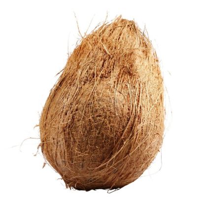 Nariyal (नारियल) - 1pc