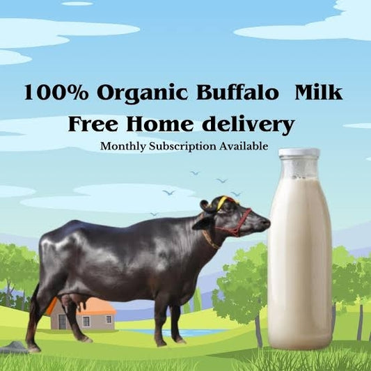 🐃 Bhains Desi (भैंस दूध) Milk