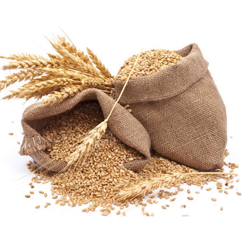 साबुत गेहूँ 🌾 (Best M.P. whole Wheat)